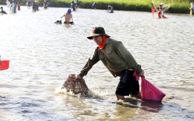 Chỉ một ngày trong năm, hàng trăm người lội xuống đầm "săn lộc"