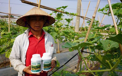 GROW MAX NPK 8000 – Giải Pháp Tối Ưu Quang Hợp, Đẩy Nhanh Tiến Độ Kiến Thiết Tán Cây