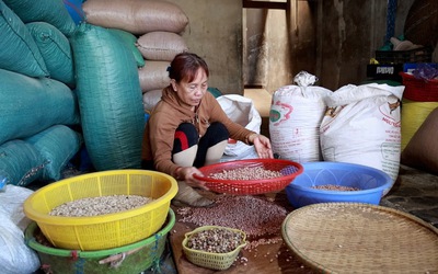 Giữ lửa nghề sản xuất "giọt vàng" ở Quảng Ngãi