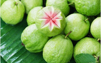 Lợi ích của quả ổi với sức khỏe