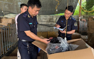 Hải quan quyết liệt chống buôn lậu, hàng giả và ma túy