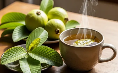 Uống 20 lá ổi mỗi ngày để chữa bệnh, người đàn ông Hà Nội nhận kết quả bất ngờ sau 3 tháng