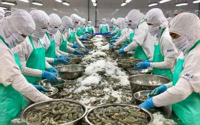 "Ông lớn" ngành tôm một thời ghi nhận doanh thu chưa tới 200 triệu đồng