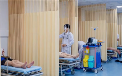 Đang đi chơi vui vẻ, 8 người bị ong vò vẽ đốt phải nhập viện