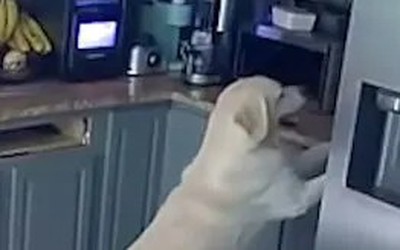 Ngôi nhà bất ngờ bị cháy rụi, chủ sốc nặng khi biết thủ phạm