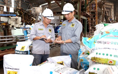 Phân bón Bình Điền chi hơn 200 tỷ đồng trả cổ tức tiền mặt 2025