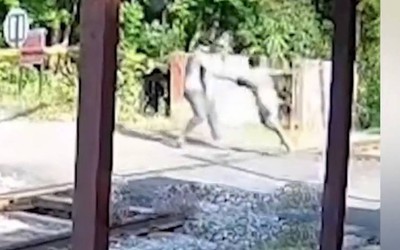 Nhân viên đường sắt cứu nam thanh niên trước đầu tàu hỏa