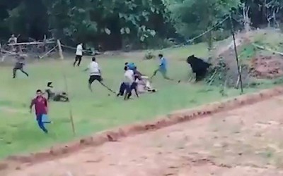 Vừa được cứu khỏi giếng, gấu dữ lao tới tấn công dân làng