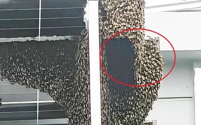 Nhìn ra cửa sổ, người đàn ông sốc nặng khi chứng kiến cảnh tượng "nổi da gà"