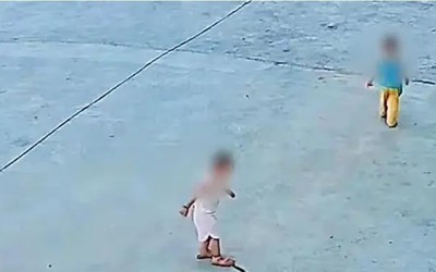 Hai đứa trẻ vô tình giẫm trúng rắn hổ mang và cái kết