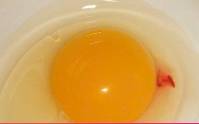 Vì sao lòng đỏ trứng lại có đốm máu? Câu trả lời khiến nhiều người bất ngờ