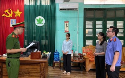 Vì sao Chủ tịch HĐQT Công ty phân bón Hà Bắc bị bắt tạm giam?