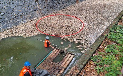 Người dân bàng hoàng khi chứng kiến cảnh tượng "nổi da gà" trên kênh