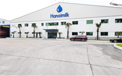 Hanoimilk báo lãi quý II/2026 tăng hơn 56%