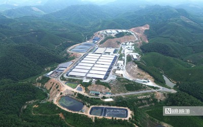 Một xã ở Thanh Hóa "gánh" 7 trại lợn, người dân sống khổ vì mùi hôi