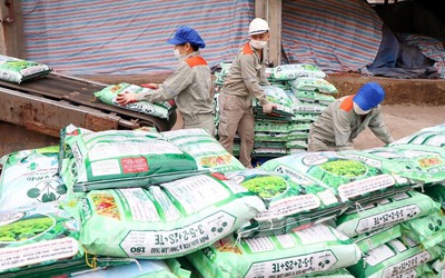 Supe Lâm Thao báo lãi quý II giảm gần 87%