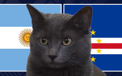 Mèo "tiên tri" dự đoán thế nào về kết quả trận Argentina vs Cape Verde?
