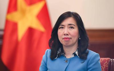 Kiều bào - nguồn lực đặc biệt của đối ngoại Việt Nam trong kỷ nguyên mới