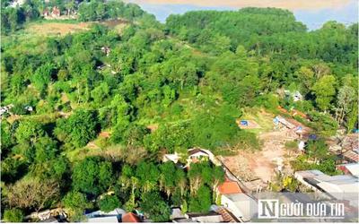 Từ ngày 31/8, tự ý chuyển đất trồng lúa sang đất ở bị phạt nặng