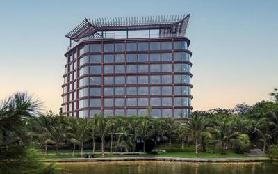 Doanh thu 6 tháng năm 2026 của OCH đạt mức kỷ lục trong 20 năm