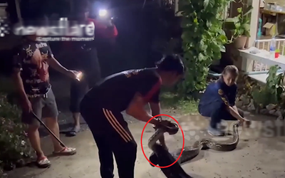 Nghe tiếng động lạ, gia chủ phát hiện cảnh tượng "nổi da gà", cả xóm ùn ùn kéo đến xem
