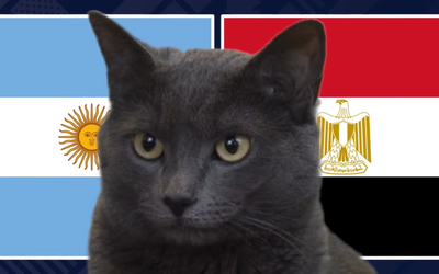 Mèo "tiên tri" dự đoán kết quả trận Argentina vs Ai Cập: Bản lĩnh nhà vô địch