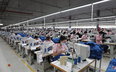 Lợi nhuận Dệt may Thành Công giảm mạnh