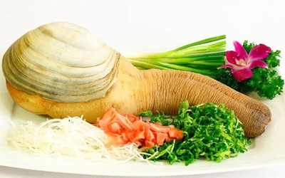 Loài ốc có tên nghe lạ tai và hình dáng đặc biệt, gây chú ý nhờ phần thịt giòn ngọt