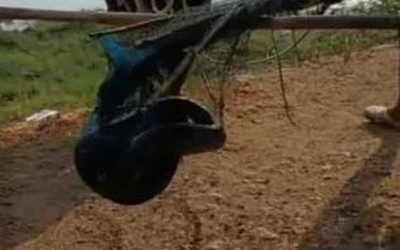 Đi đánh cá, ngư dân bắt gặp cảnh tượng nổi da gà trong hồ