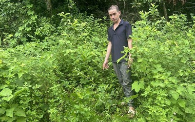 Bắt tạm giam người đàn ông sinh năm 1996 gây án sau khi uống bia