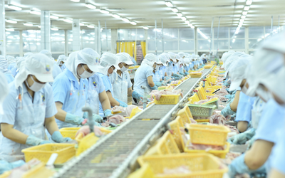3 lần gom cổ phiếu ANV, lãnh đạo Nam Việt nâng sở hữu lên 1,18%