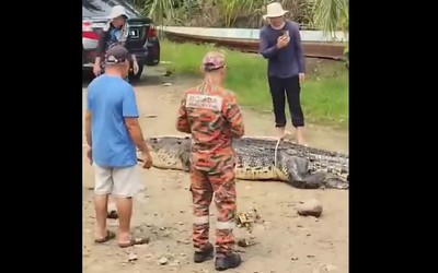 Đi bắt ốc, người phụ nữ 78 tuổi bị thứ đáng sợ cắn tử vong trên sông