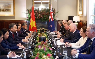 Phát triển toàn diện quan hệ giữa hai nước Việt Nam và New Zealand