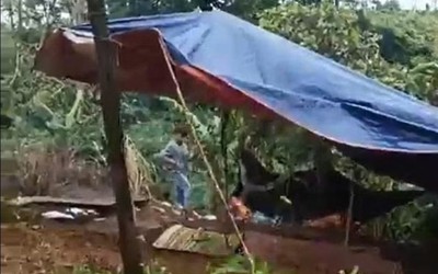 Vụ nhân viên thư viện trường tiểu học tử vong: Bất ngờ danh tính hung thủ