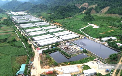 Tỉnh Thanh Hóa vào cuộc vụ sông Ngang chuyển màu đen