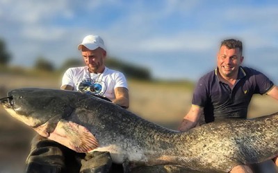 Cần thủ câu được con cá trê khổng lồ dài 2,51 mét trên sông