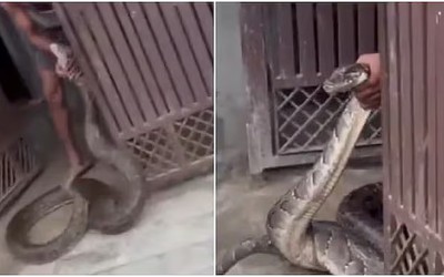Người dân sốc nặng khi thấy thứ đáng sợ bò vào nhà