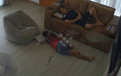 Rắn hổ mang bò về phía cậu bé đang ngủ và cái kết thót tim