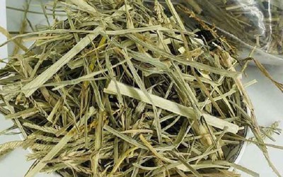 Thứ cỏ mọc dại "nhổ đi không hết" lại là vị thuốc quý giúp thanh nhiệt, mát gan