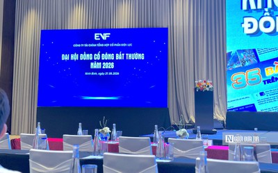 EVF dự kiến tăng vốn lên 8.456 tỷ đồng, đề cử cựu Chủ tịch Eximbank vào HĐQT