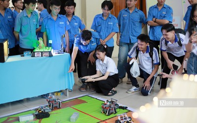 Cho phép tổ chức hoạt động STEM ngoài nhà trường