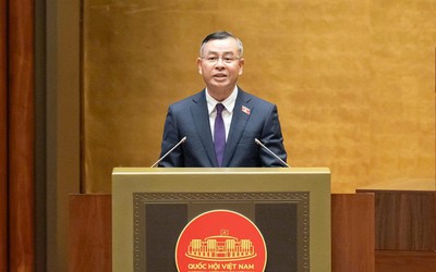 Ngưỡng 10 tỷ đồng là "điểm gãy" để hỗ trợ thuế cho doanh nghiệp nhỏ và hộ kinh doanh