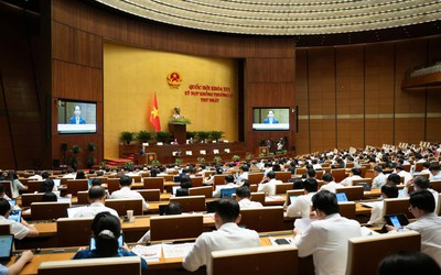 Không để xảy ra trường hợp bỏ lọt tội phạm, làm oan người vô tội