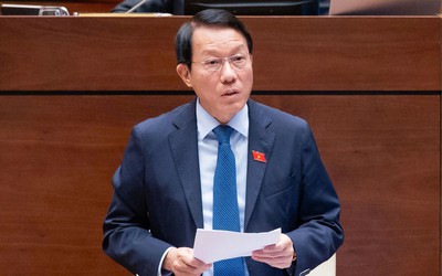 Thông qua cơ chế đặc thù xử lý vi phạm liên quan kinh tế Nhà nước, kinh tế tư nhân