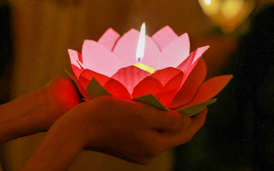 Lễ Vu Lan cài hoa hồng màu gì? Ý nghĩa từng màu hoa trên ngực áo