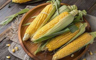 Phần bổ dưỡng của bắp ngô, nhiều người không biết lại bỏ đi