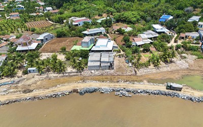 Quảng Ngãi: Khẩn cấp xây kè, cứu bờ biển trước mùa mưa bão