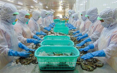 Sao Ta hoàn nhập hơn 27 tỷ đồng thuế chống bán phá giá