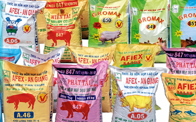 Doanh thu tài chính khởi sắc, Afiex tăng gần 40% lợi nhuận