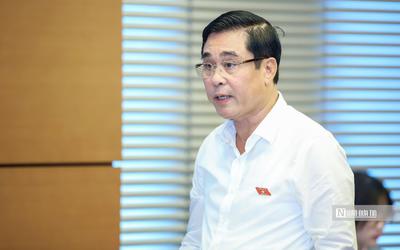 ĐBQH nêu lý do cần kiểm soát, xử lý nghiêm hành vi kinh doanh "bóng cười"